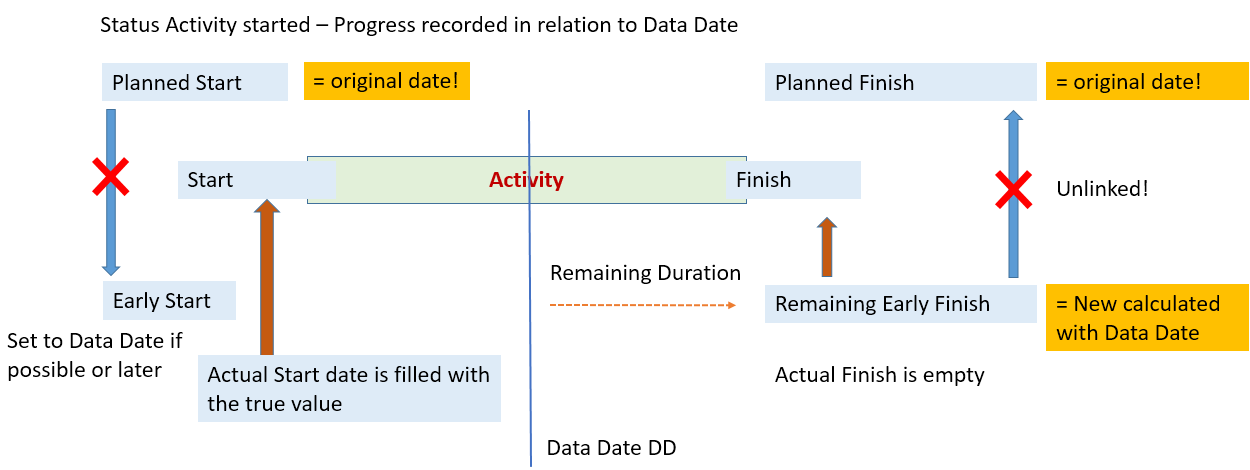 Aktivität gestartet, alles nach Plan, Data Date in der Mitte