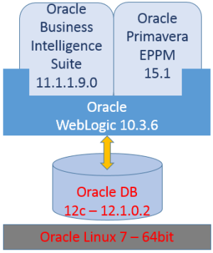  Oracle Primavera 15.1 EPPM on one Linux server